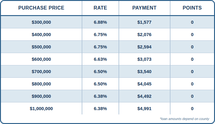 Published 5/6 ARM · 20% down chart showing purchase prices, interest rates, payments, and points. Contact AREG for an accessible personalized quote and APR.