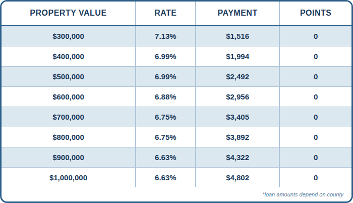 Published 7/1 ARM cash-out chart showing purchase prices, interest rates, payments, and points. Contact AREG for an accessible personalized quote and APR.