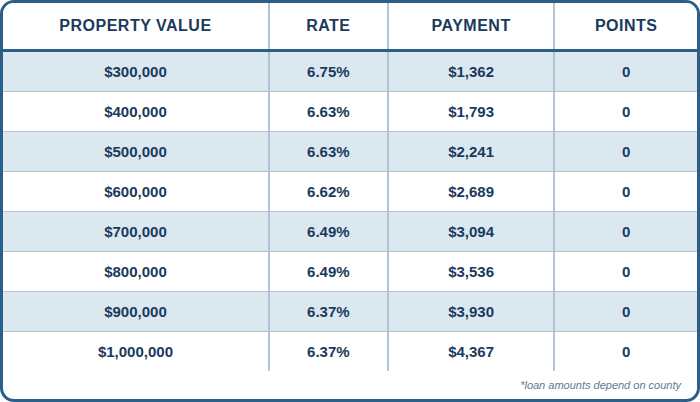 Published DSCR cash-out chart showing purchase prices, interest rates, payments, and points. Contact AREG for an accessible personalized quote and APR.