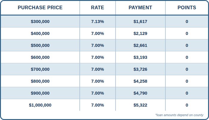 Published 12-month bank statement chart showing purchase prices, interest rates, payments, and points. Contact AREG for an accessible personalized quote and APR.